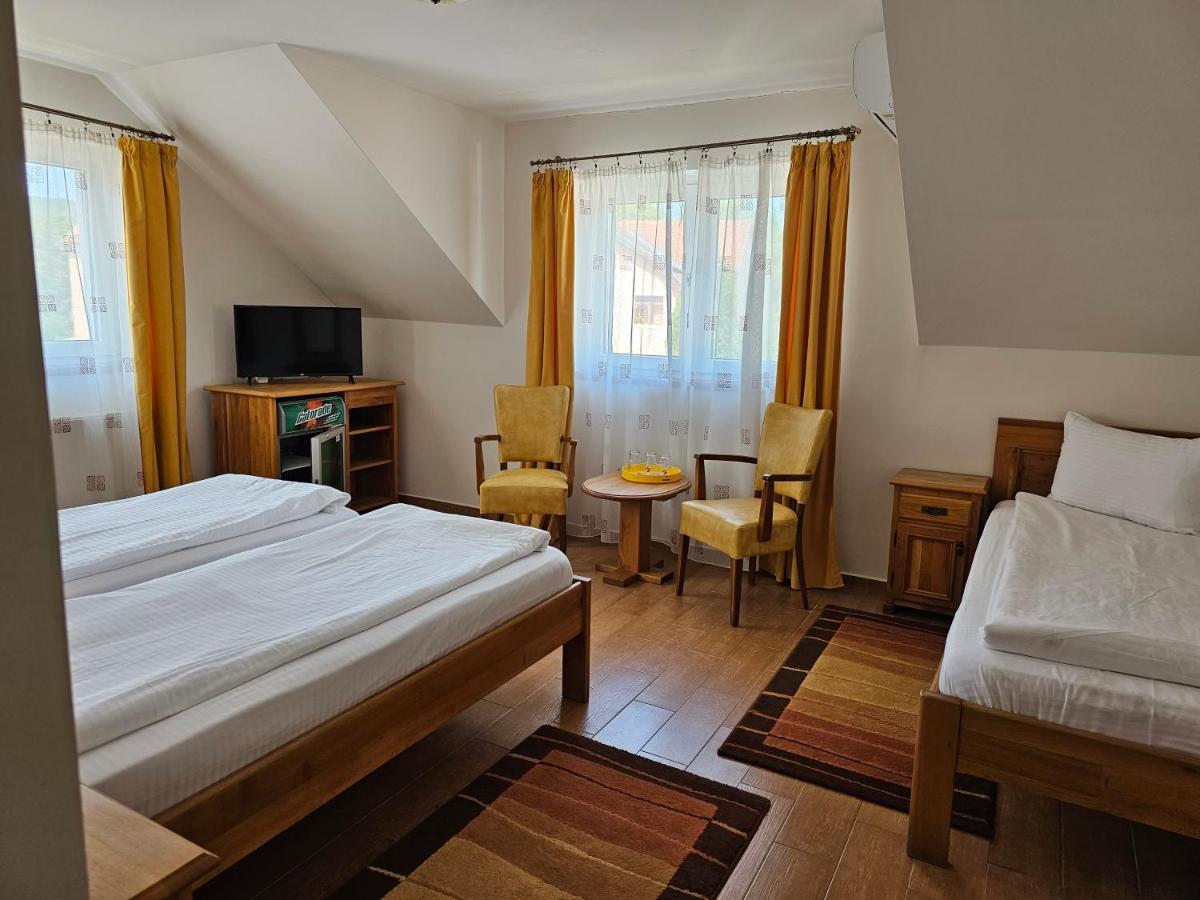 Отель Pension Aquaris Сигишоара Экстерьер фото