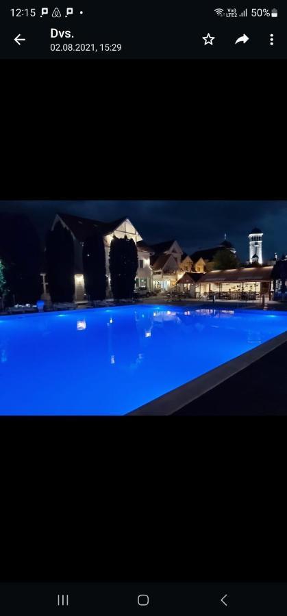 Отель Pension Aquaris Сигишоара Экстерьер фото