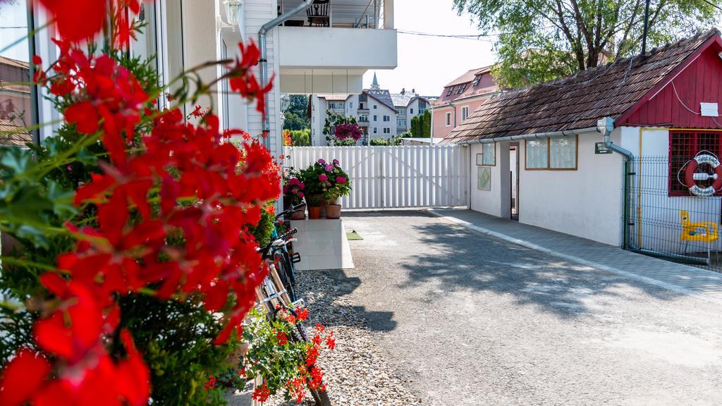 Отель Pension Aquaris Сигишоара Экстерьер фото