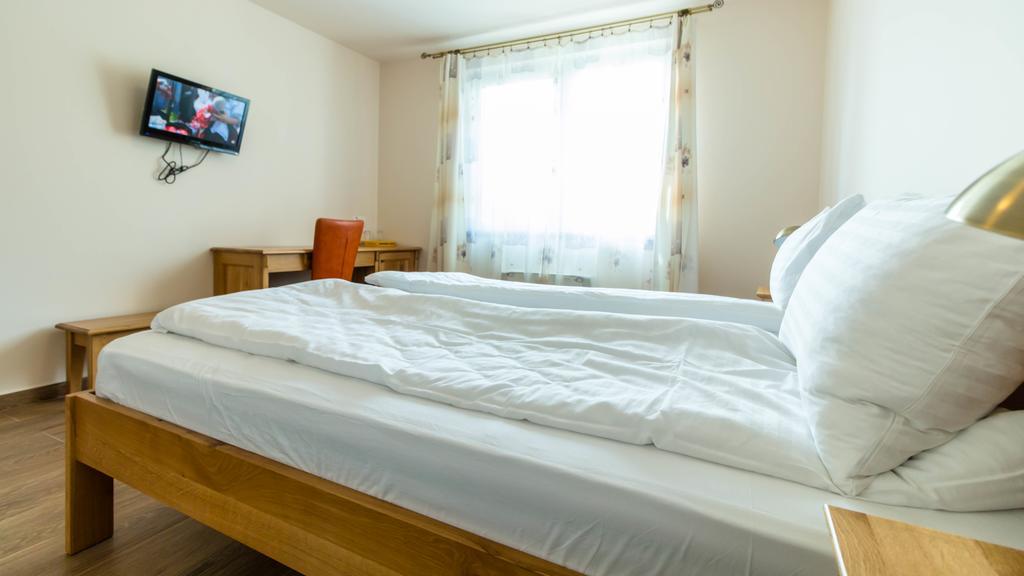 Отель Pension Aquaris Сигишоара Экстерьер фото